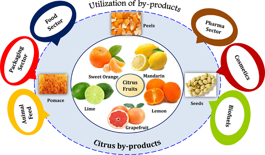 Comprehensive study of Citrus Pectin-Xi'an Lyphar Biotech Co., Ltd