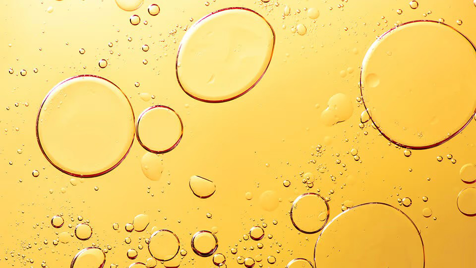 Use of Bifida Ferment Lysate-Xi'an Lyphar Biotech Co., Ltd