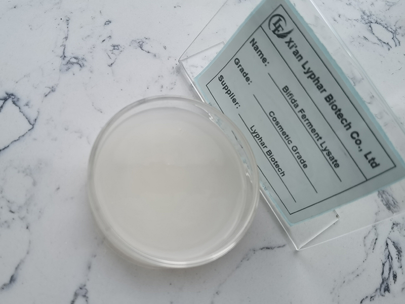 Mechanism of Bifida Ferment Lysate on Skin Improvement-Xi'an Lyphar Biotech Co., Ltd