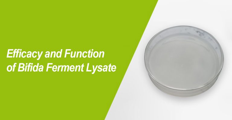 Efficacy and Function of Bifida Ferment Lysate 7 2026012608451755