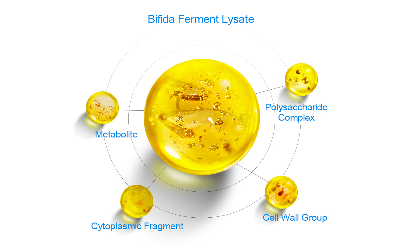 Effects of Bifida Ferment Lysate on Cuticle Metabolism-Xi'an Lyphar Biotech Co., Ltd Effects of Bifida Ferment Lysate on Cuticle Metabolism-Xi'an Lyphar Biotech Co., Ltd