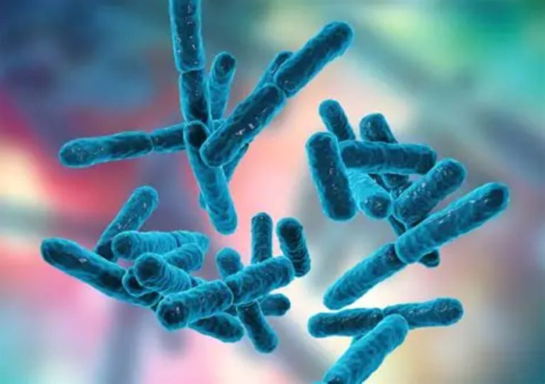 Pros and Cons of Bifida Ferment Lysate 1 2026012808324052