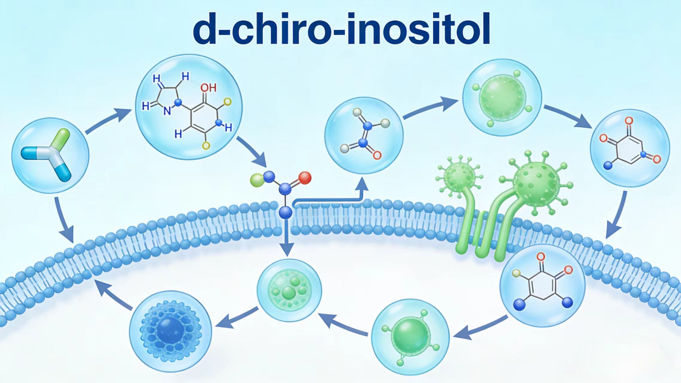 What is D-Chiro-Inositol?-Xi'an Lyphar Biotech Co., Ltd What is D-Chiro-Inositol?-Xi'an Lyphar Biotech Co., Ltd