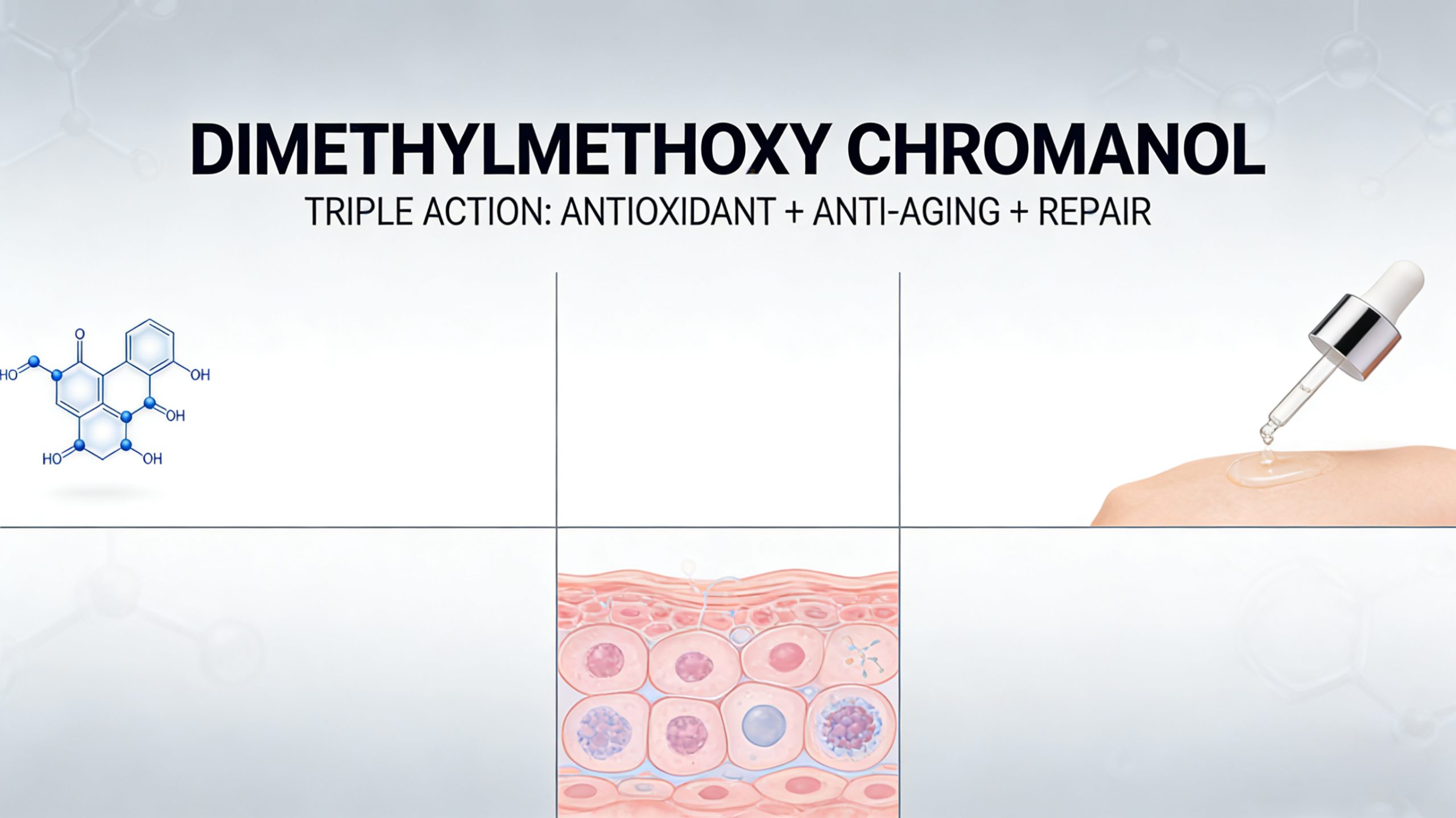 Benefits of Dimethylmethoxy Chromanol-Xi'an Lyphar Biotech Co., Ltd