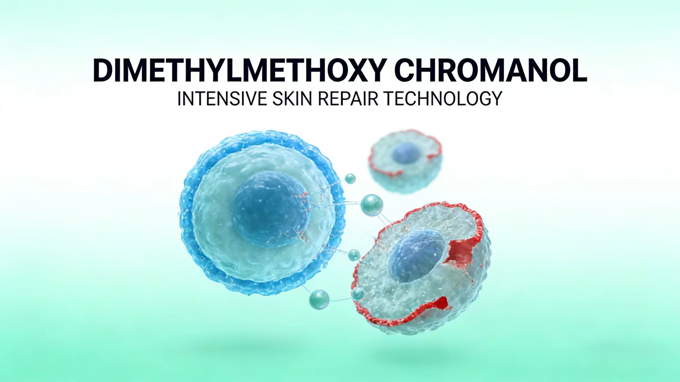 Pros and Cons of Dimethylmethoxy Chromanol-Xi'an Lyphar Biotech Co., Ltd Pros and Cons of Dimethylmethoxy Chromanol-Xi'an Lyphar Biotech Co., Ltd