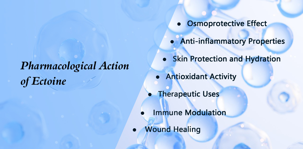 Pharmacological action of Ectoine-Xi'an Lyphar Biotech Co., Ltd Pharmacological action of Ectoine-Xi'an Lyphar Biotech Co., Ltd