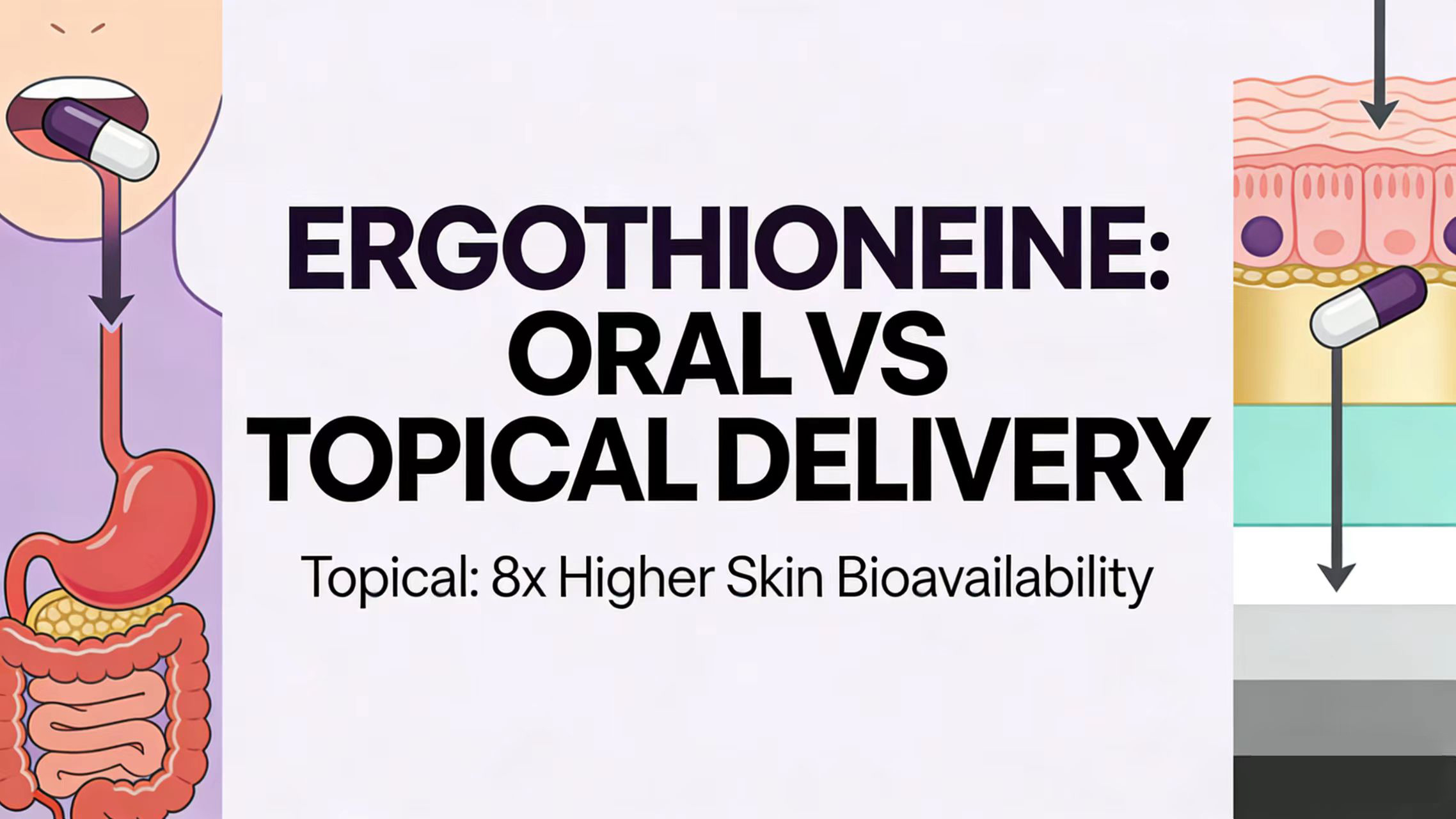 Applications of Ergothioneine-Xi'an Lyphar Biotech Co., Ltd