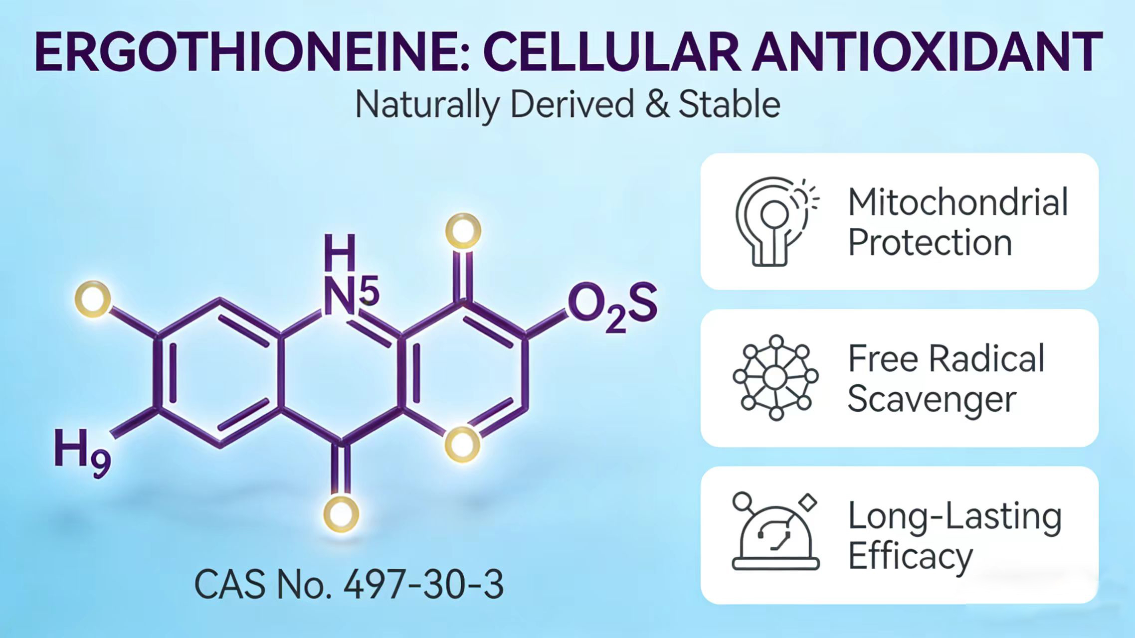 Biosynthetic Pathway of Ergothioneine-Xi'an Lyphar Biotech Co., Ltd