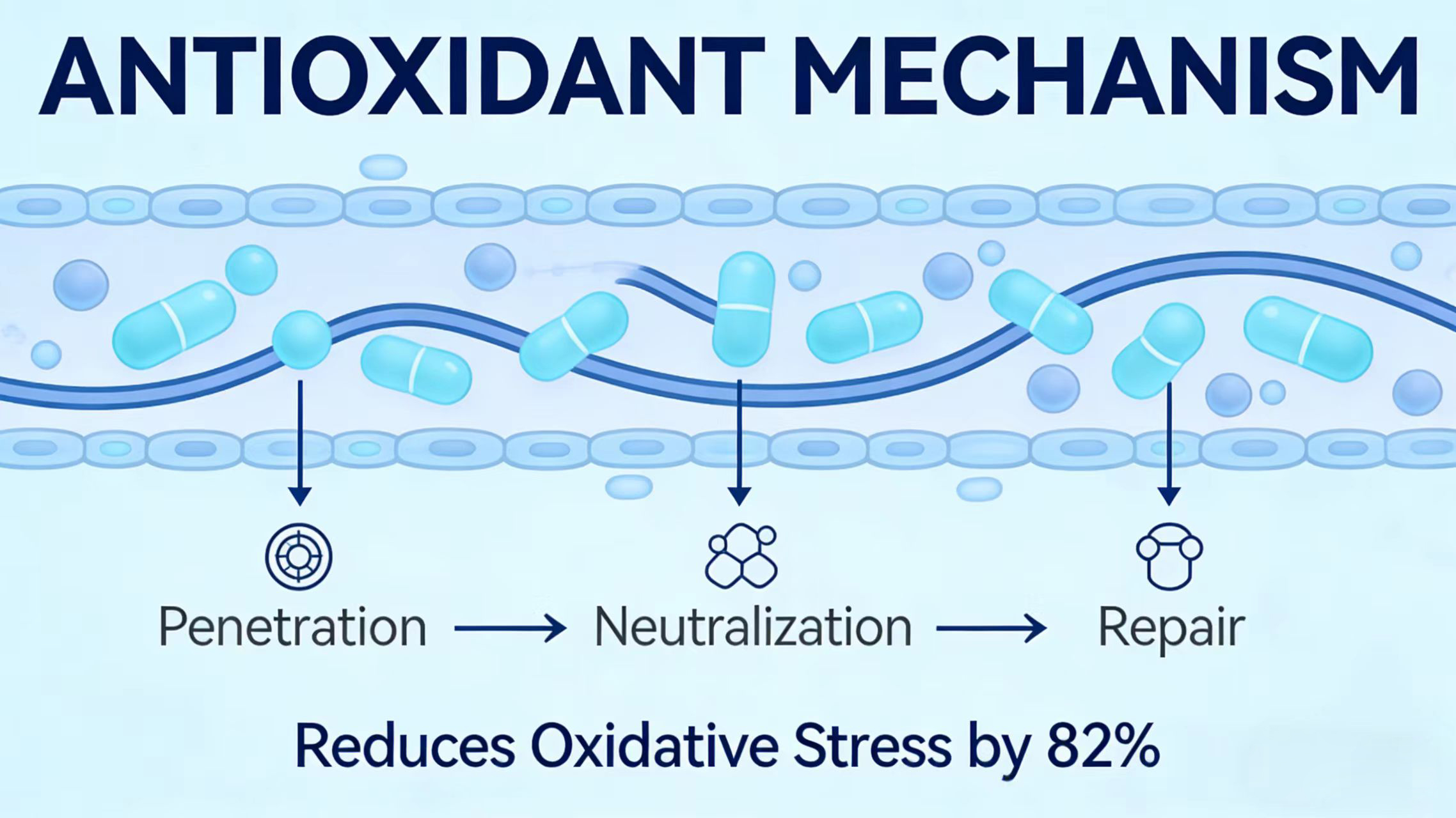 Benefits of Ergothioneine-Xi'an Lyphar Biotech Co., Ltd