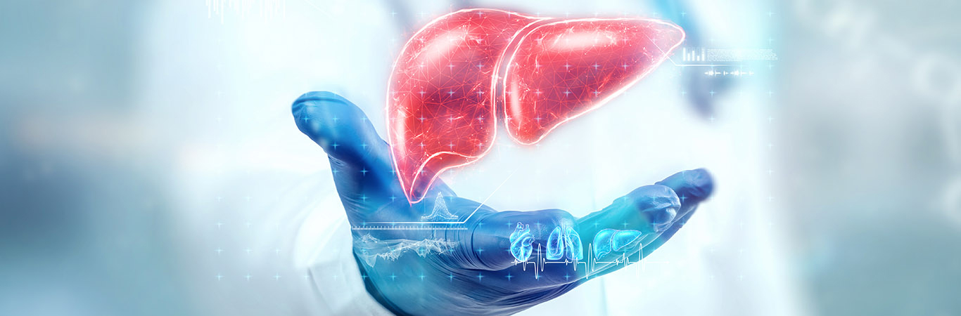 Pharmacological action of Ergothioneine-Xi'an Lyphar Biotech Co., Ltd Pharmacological action of Ergothioneine-Xi'an Lyphar Biotech Co., Ltd