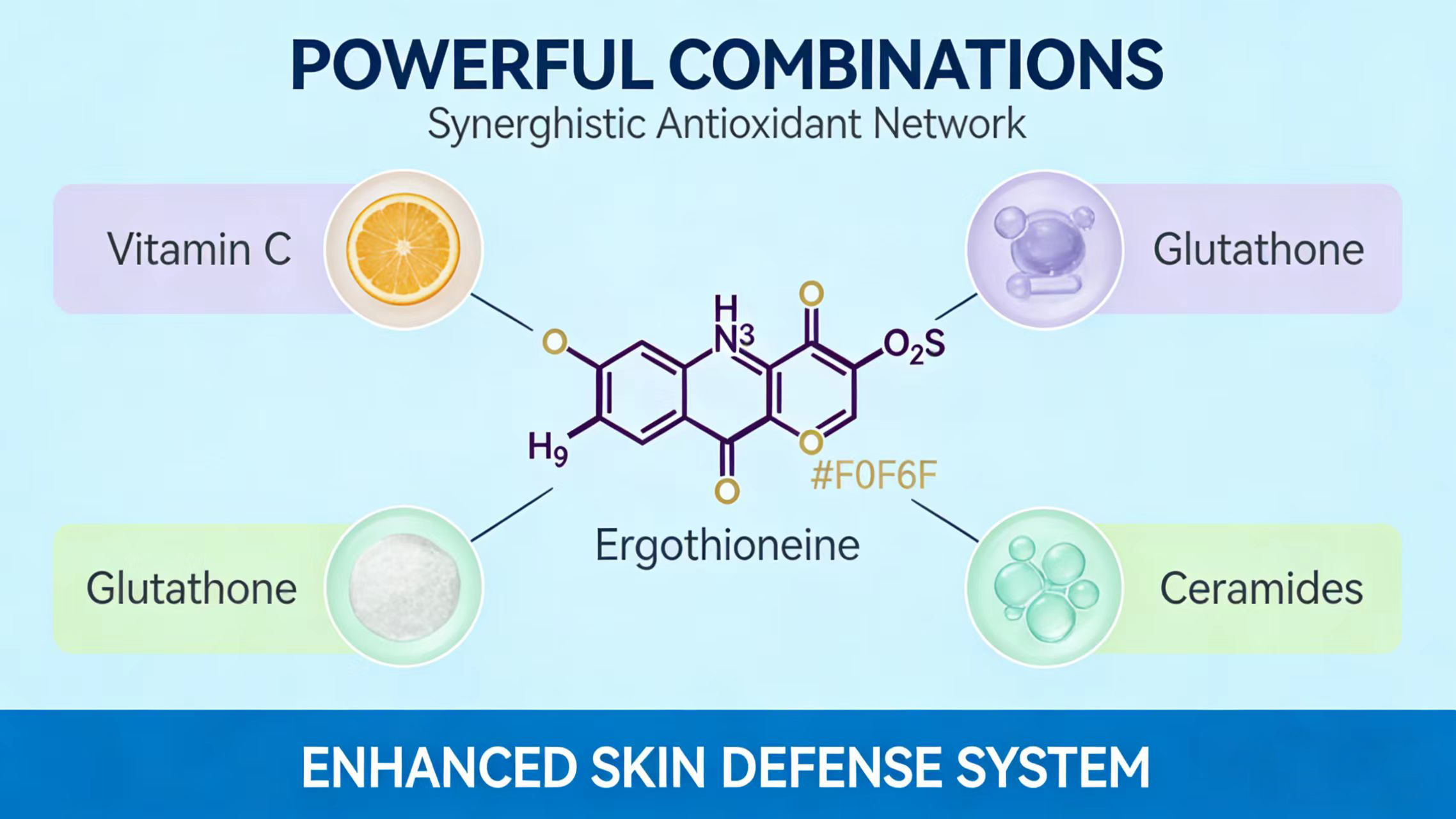 Relationship Between Ergothioneine and Glutathione-Xi'an Lyphar Biotech Co., Ltd