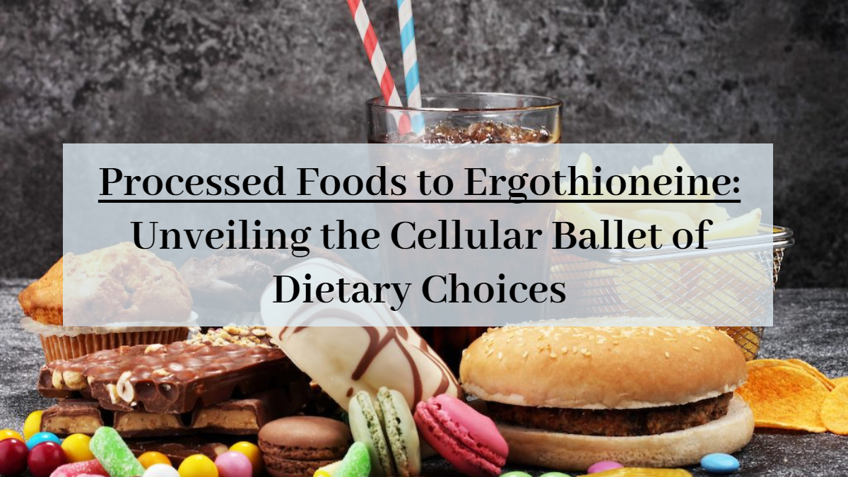 Why is Ergothioneine called the “Longevity Vitamin”?-Xi'an Lyphar Biotech Co., Ltd