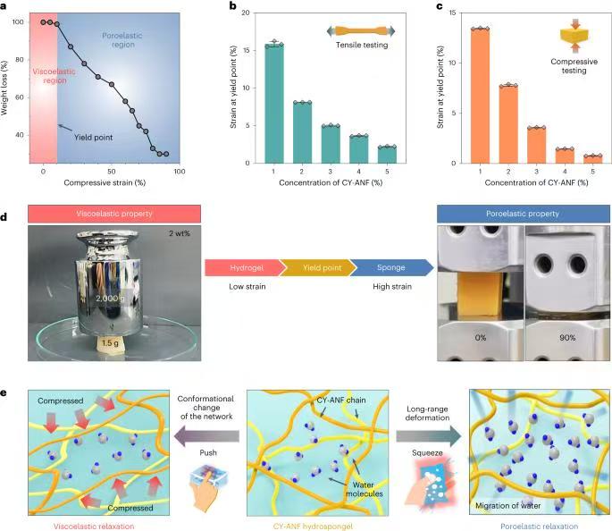 Uses of Hydrolyzed Sponge in the field of Environmental Protection-Xi'an Lyphar Biotech Co., Ltd