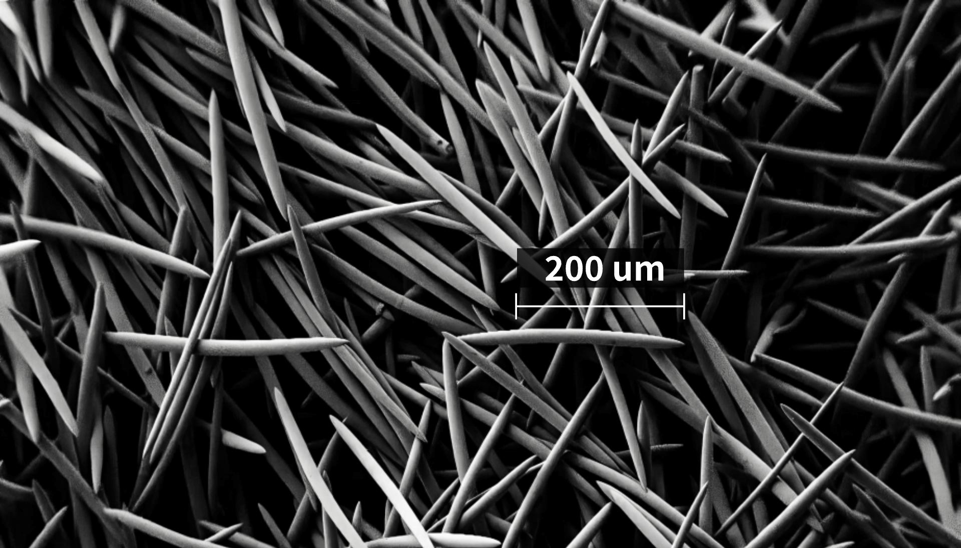 Applications of Hydrolyzed Sponge-Xi'an Lyphar Biotech Co., Ltd