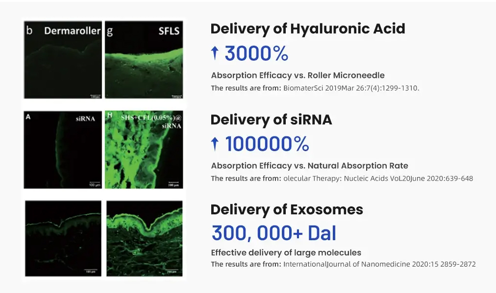 Hydrolyzed Sponge-Bone Needles-Xi'an Lyphar Biotech Co., Ltd