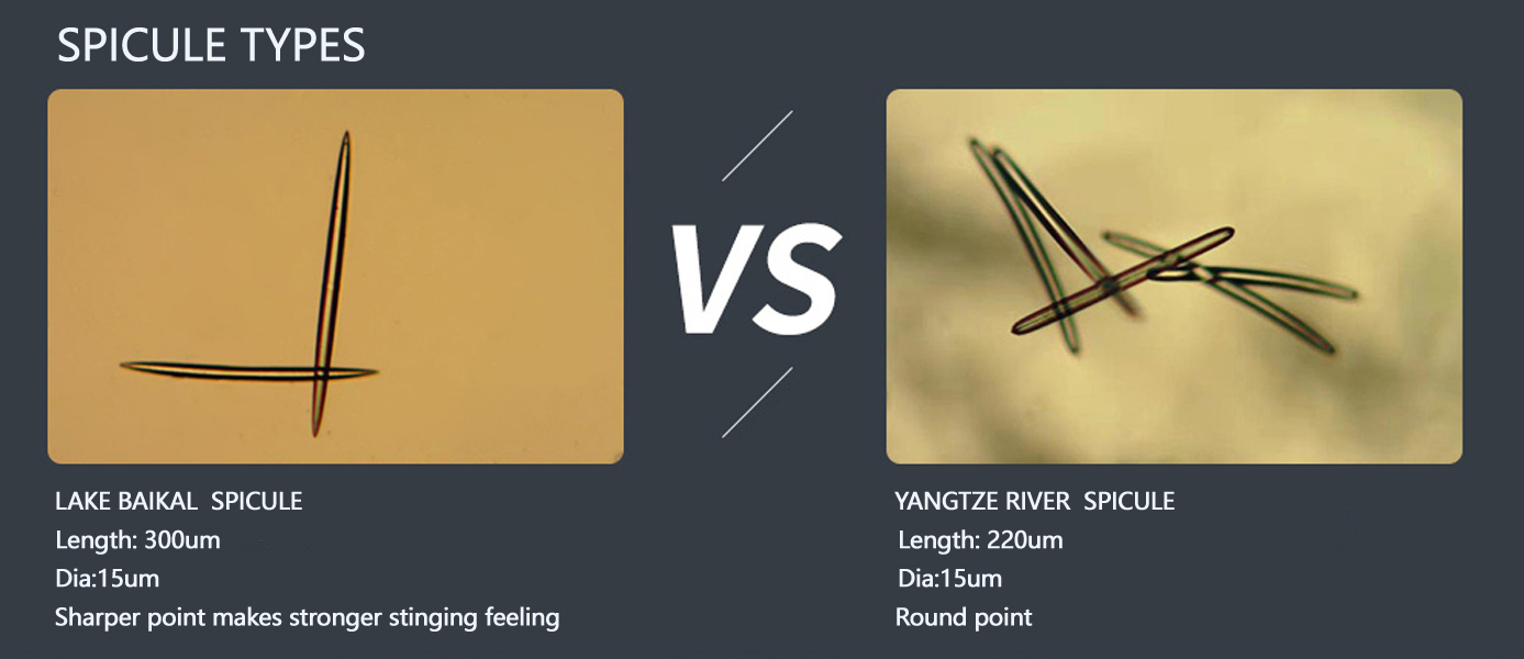 Extraction of Hydrolyzed Sponge-Xi'an Lyphar Biotech Co., Ltd