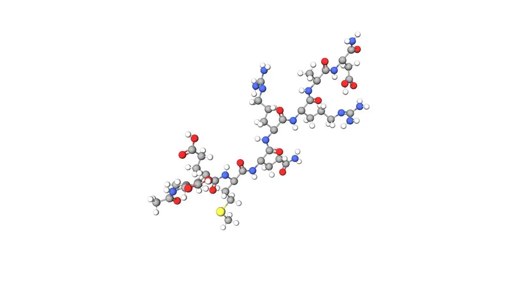 Basic Ingredient of Acetyl Octapeptide-3 (SNAP-8)-Xi'an Lyphar Biotech Co., Ltd Basic Ingredient of Acetyl Octapeptide-3 (SNAP-8)-Xi'an Lyphar Biotech Co., Ltd
