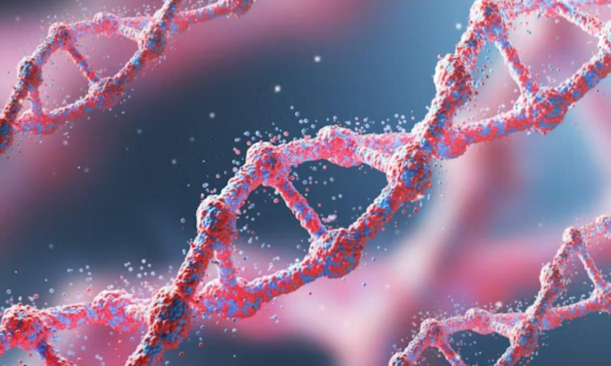 How to use Acetyl Octapeptide-3/SNAP-8?-Xi'an Lyphar Biotech Co., Ltd