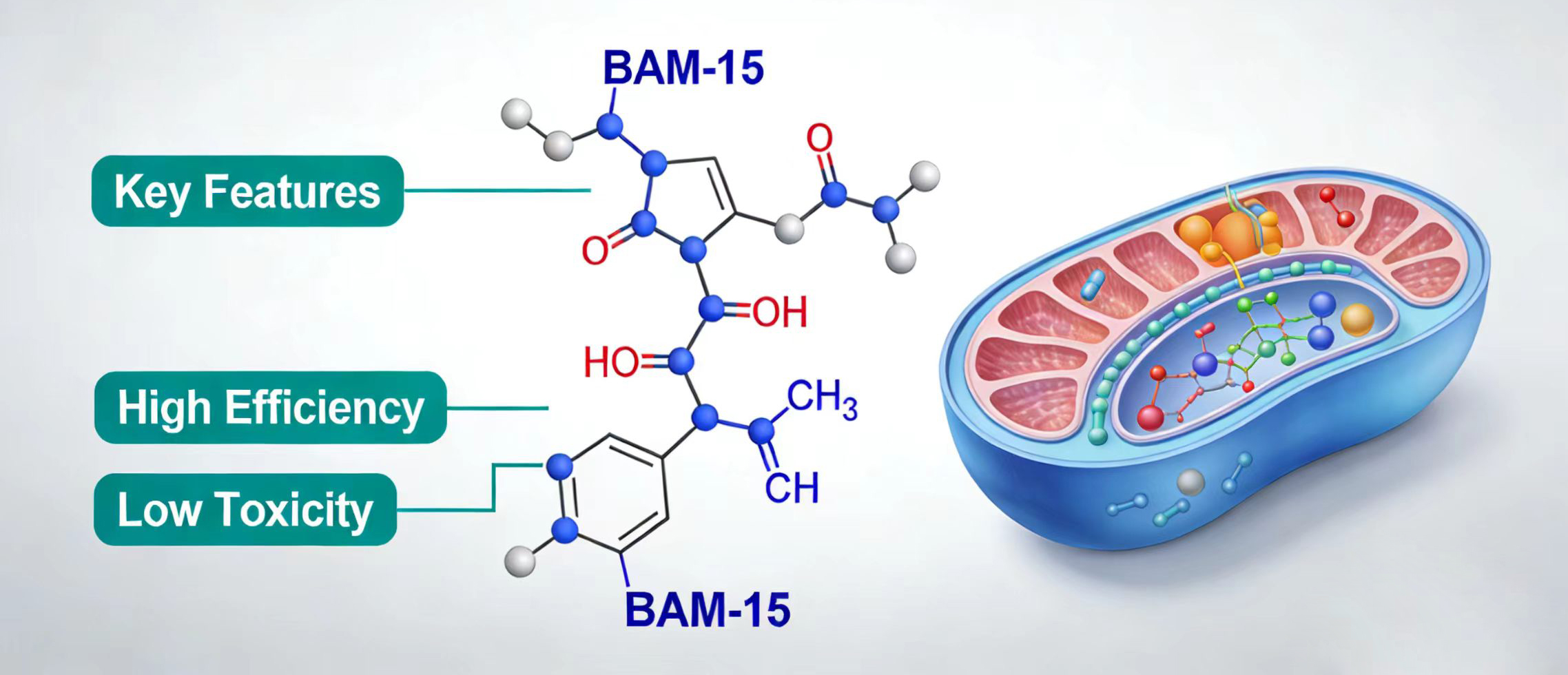 Chemical Structure and Physical Properties of BAM-15-Xi'an Lyphar Biotech Co., Ltd