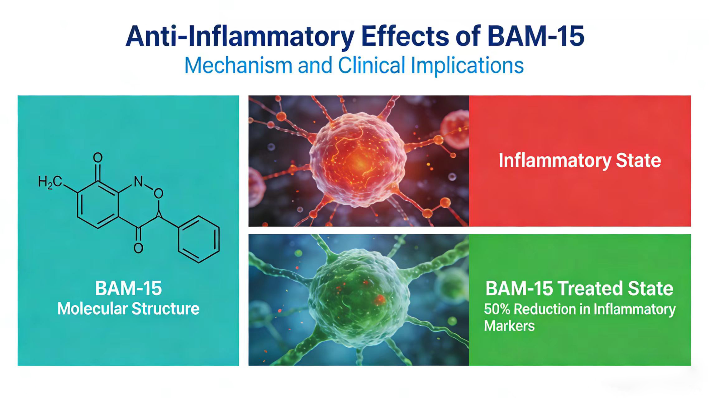 What is BAM-15?-Xi'an Lyphar Biotech Co., Ltd What is BAM-15?-Xi'an Lyphar Biotech Co., Ltd