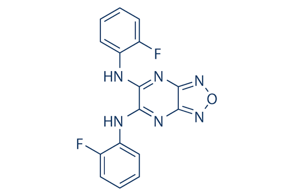 Mechanism of BAM-15-Xi'an Lyphar Biotech Co., Ltd