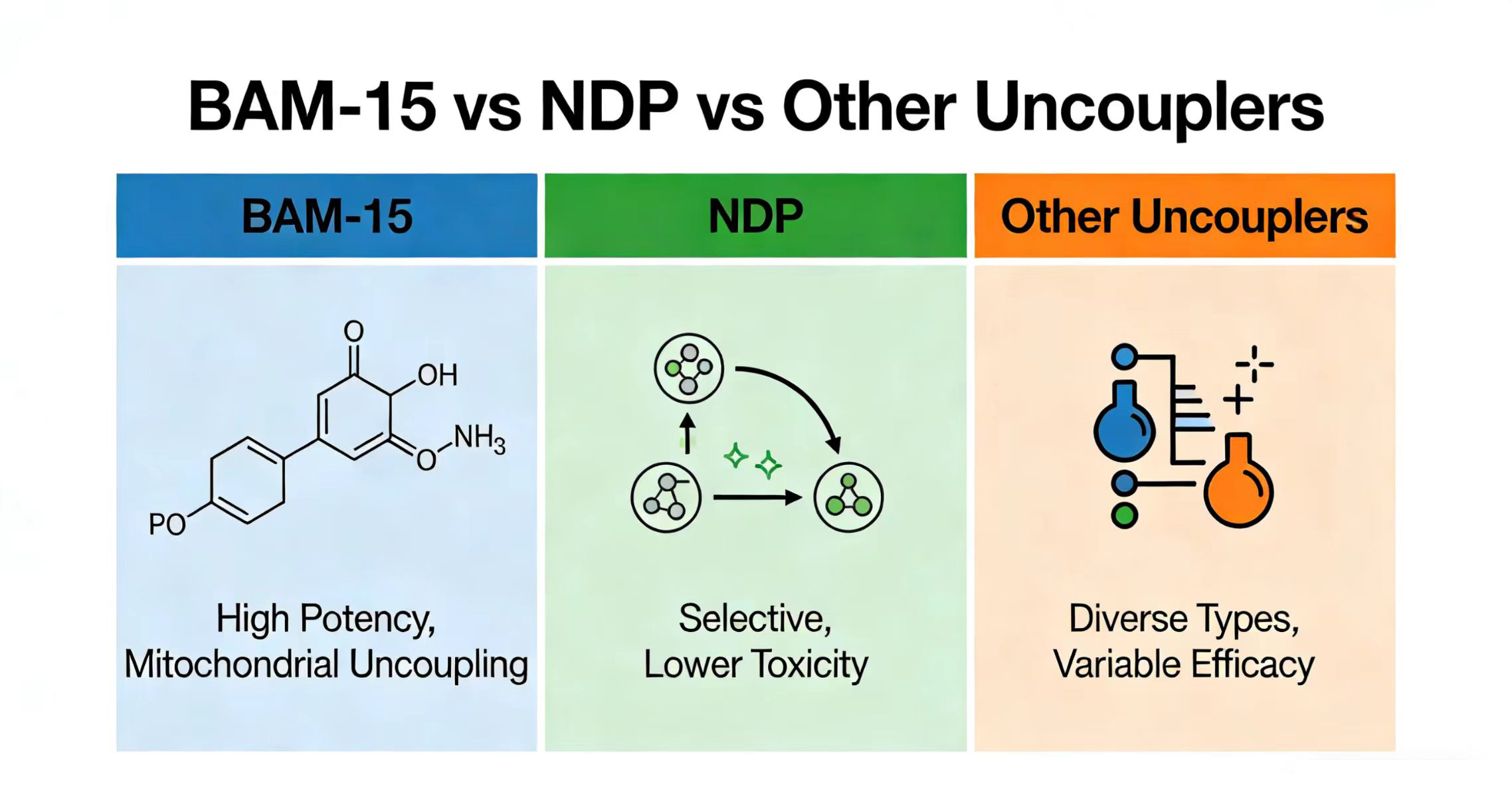 BAM-15 vs DNP vs Other Uncouplers-Xi'an Lyphar Biotech Co., Ltd