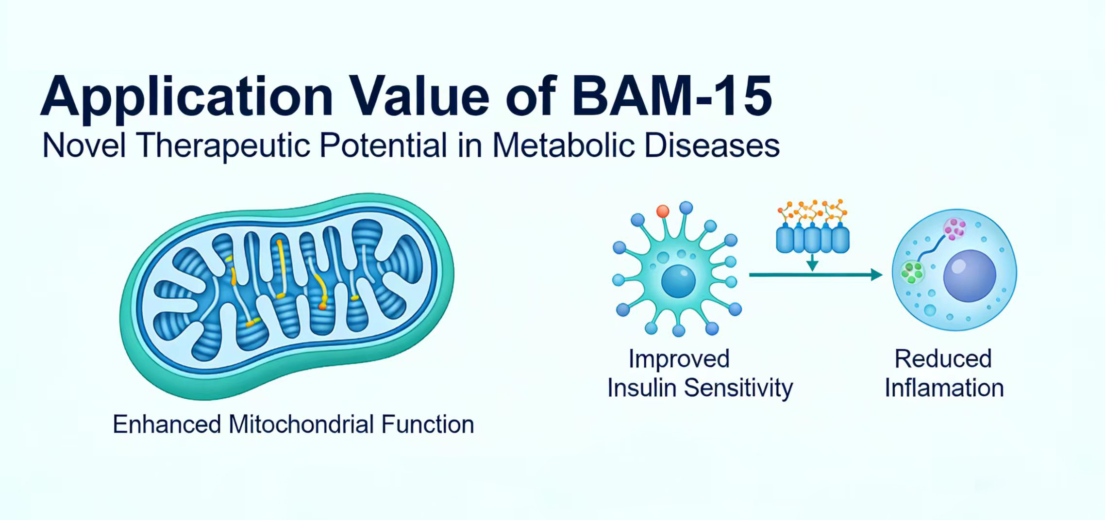 Origin, Properties, and Introduction of BAM-15-Xi'an Lyphar Biotech Co., Ltd