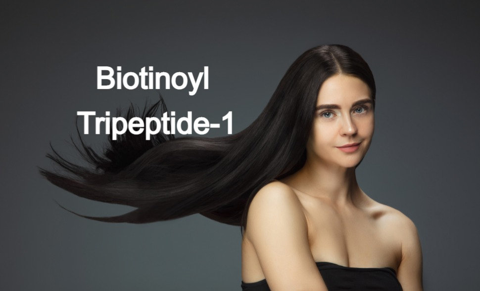 What is Biotinoyl Tripeptide-1?-Xi'an Lyphar Biotech Co., Ltd