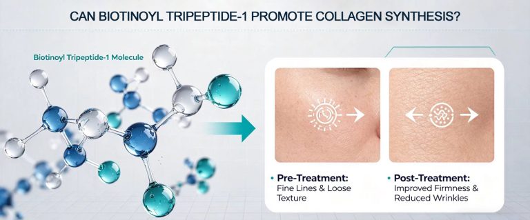 Can Biotinoyl Tripeptide-1 promote collagen synthesis? 2 2026051208290915