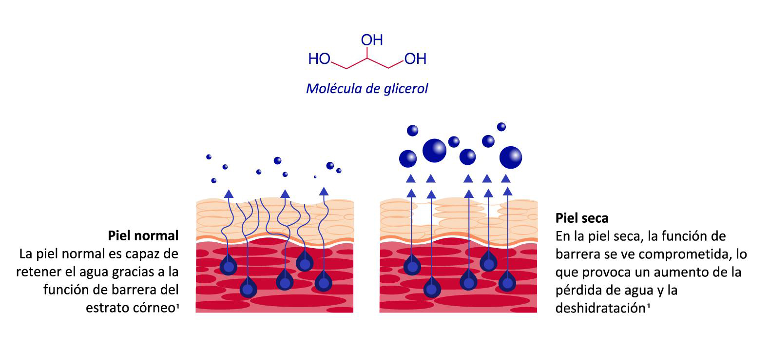 What are the potential health benefits of Glycosylglycerol?-Xi'an Lyphar Biotech Co., Ltd What are the potential health benefits of Glycosylglycerol?-Xi'an Lyphar Biotech Co., Ltd