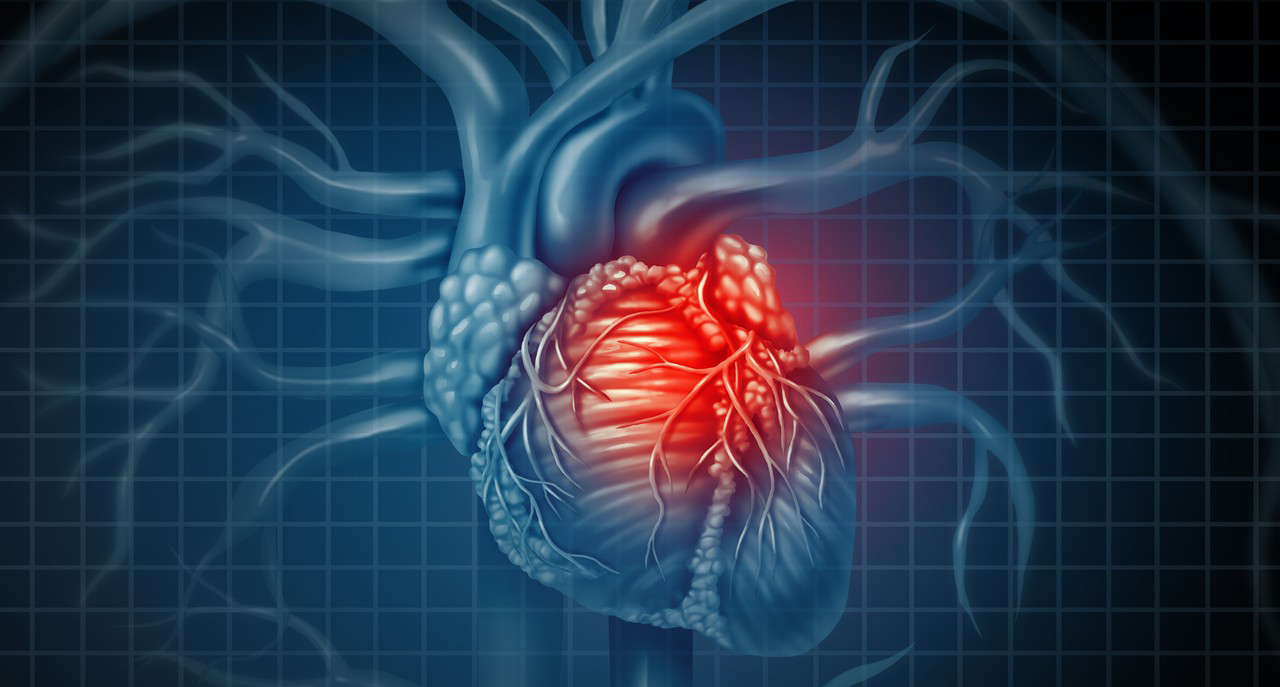 Effects of Magnesium Acetyl Taurate on the Cardiovascular System-Xi'an Lyphar Biotech Co., Ltd