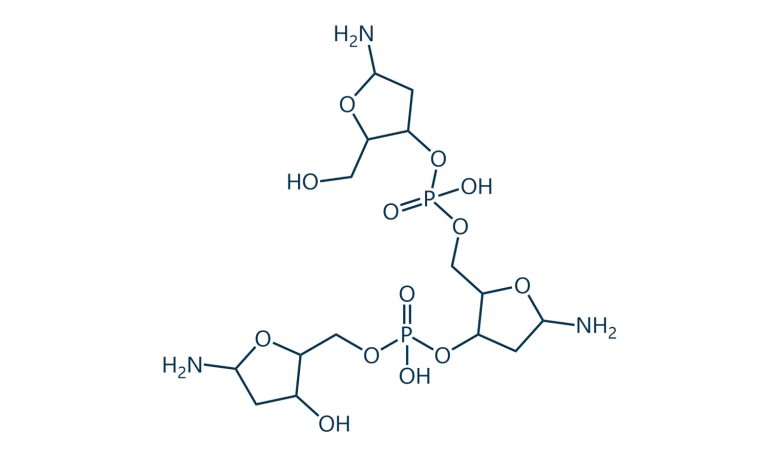 Chemical Structure and Physical Properties of Polydeoxyribonucleotide 3 2026071708074930