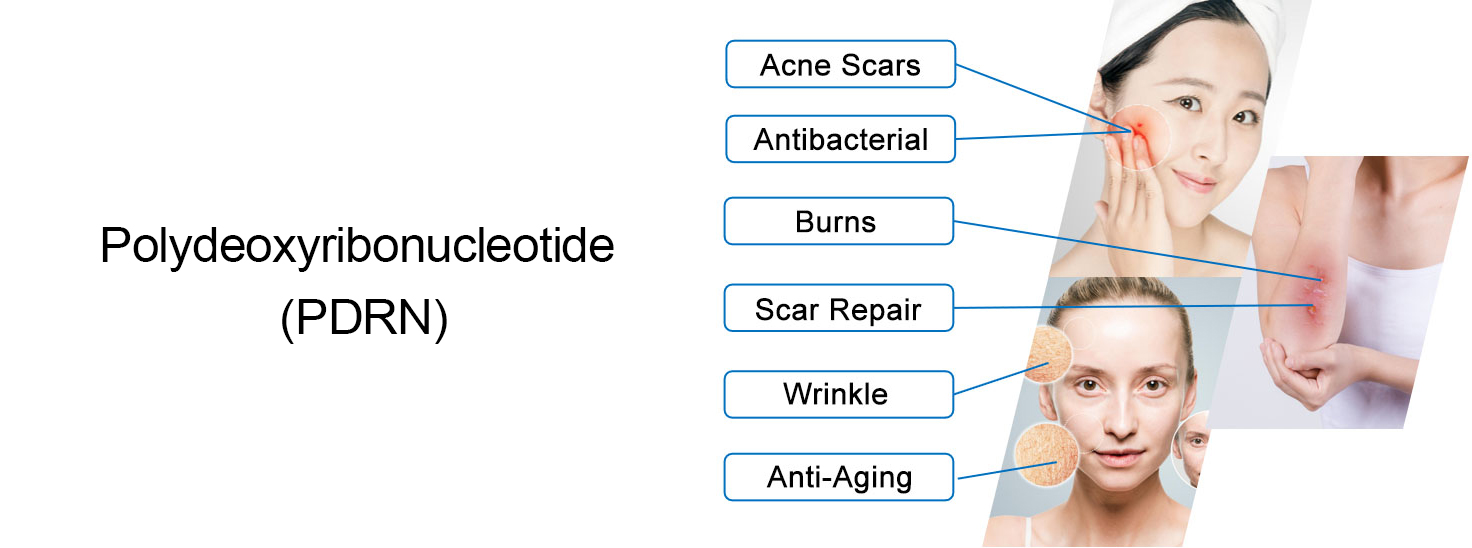 Basic information of Polydeoxyribonucleotide-Xi'an Lyphar Biotech Co., Ltd Basic information of Polydeoxyribonucleotide-Xi'an Lyphar Biotech Co., Ltd