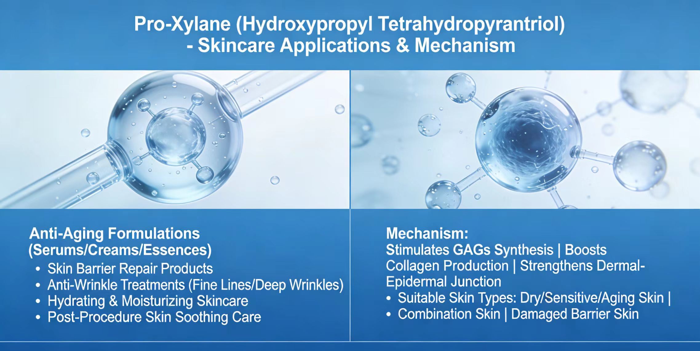 Origin, Nature and Introduction of Pro-Xylane-Xi'an Lyphar Biotech Co., Ltd