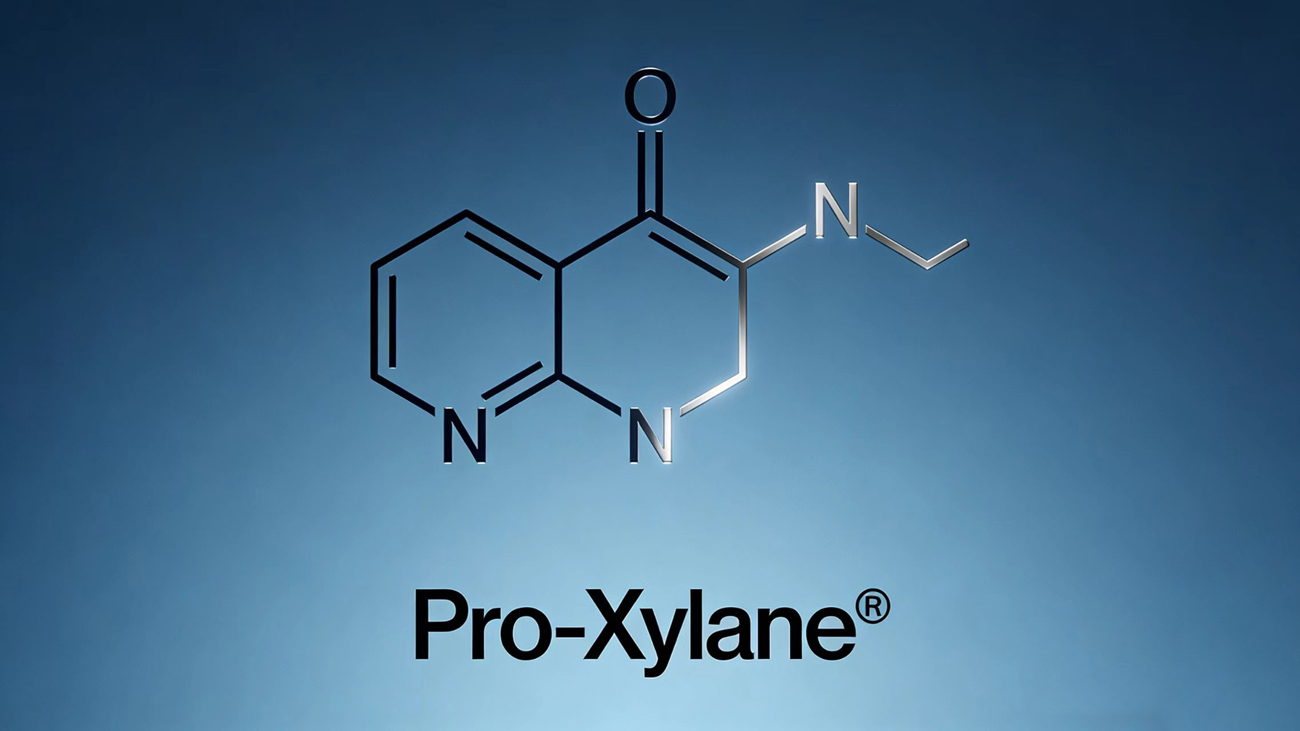 How does Pro-Xylane Promote Collagen Synthesis?-Xi'an Lyphar Biotech Co., Ltd How does Pro-Xylane Promote Collagen Synthesis?-Xi'an Lyphar Biotech Co., Ltd