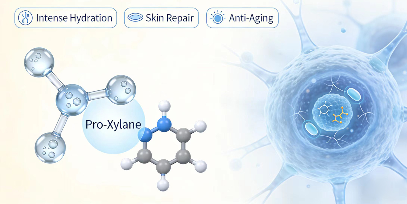 Effectiveness, Side Effects and Special Precautions of Pro-Xylane-Xi'an Lyphar Biotech Co., Ltd Effectiveness, Side Effects and Special Precautions of Pro-Xylane-Xi'an Lyphar Biotech Co., Ltd