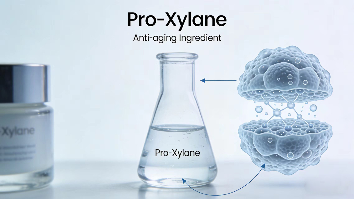 Pro-Xylane VS Pro-Xylane Solution-Xi'an Lyphar Biotech Co., Ltd Pro-Xylane VS Pro-Xylane Solution-Xi'an Lyphar Biotech Co., Ltd