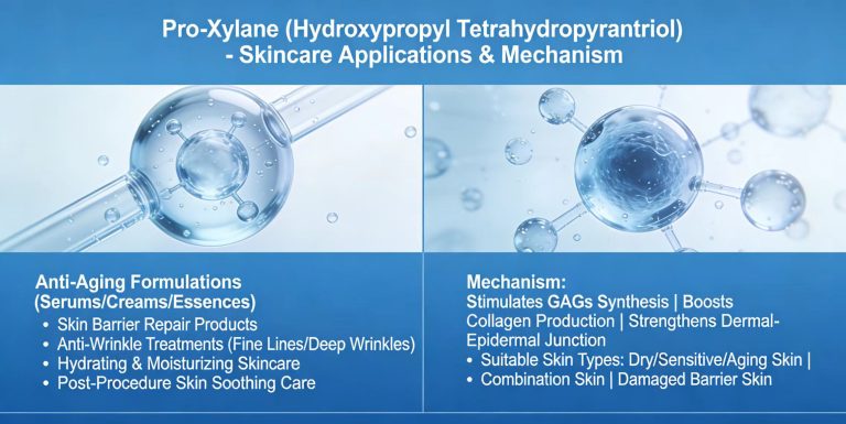 Comprehensive Study of Pro-Xylane 4 2026081208224597