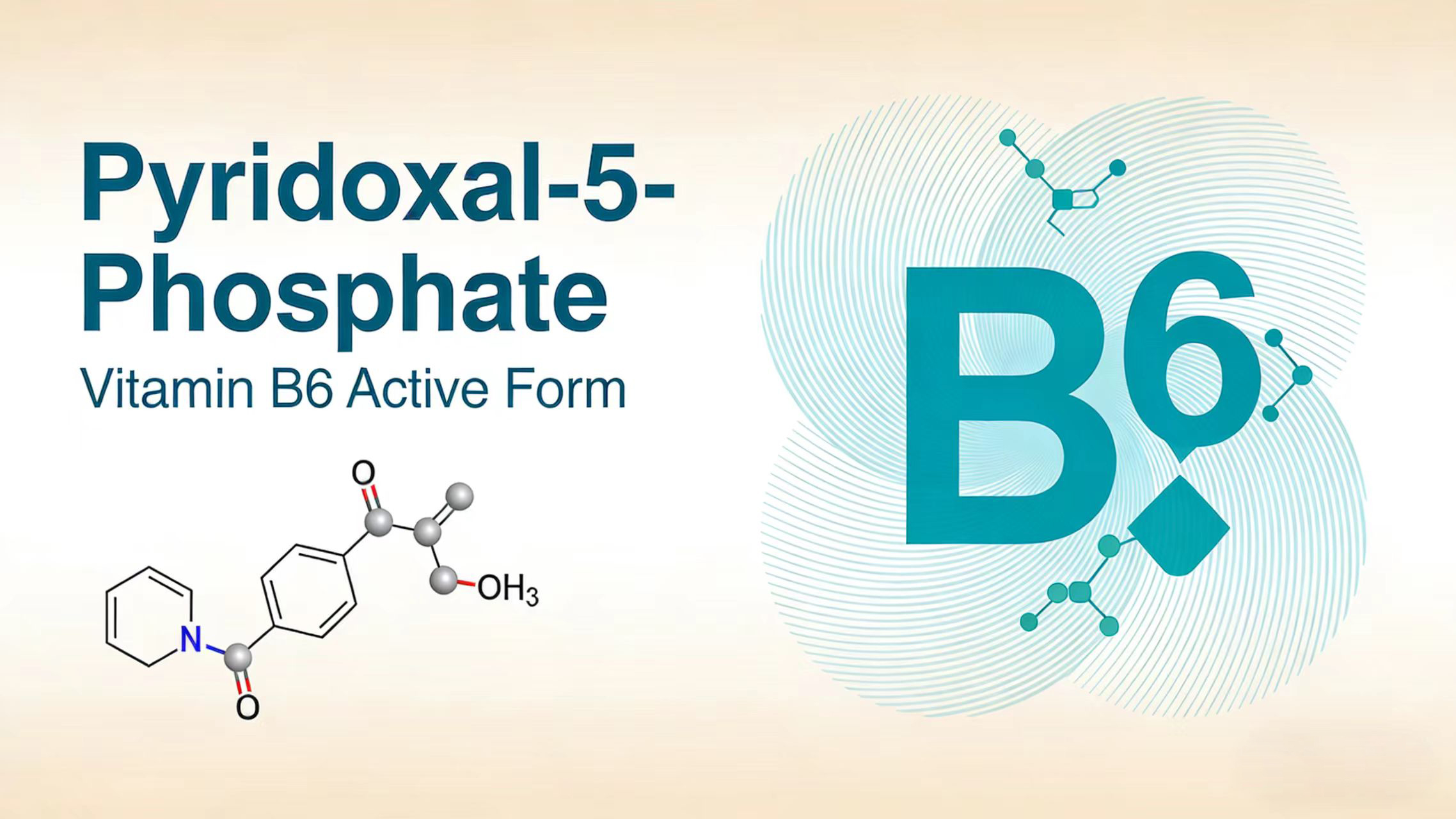 What is Pyridoxal-5-Phosphate?-Xi'an Lyphar Biotech Co., Ltd What is Pyridoxal-5-Phosphate?-Xi'an Lyphar Biotech Co., Ltd