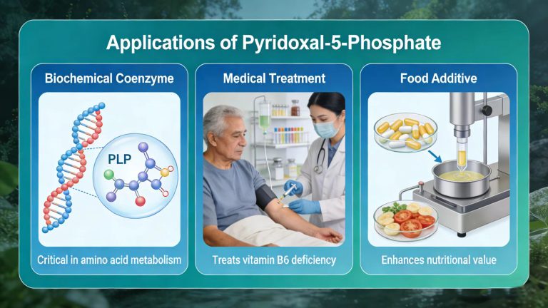 Applications of Pyridoxal-5-Phosphate 4 2026081308332063