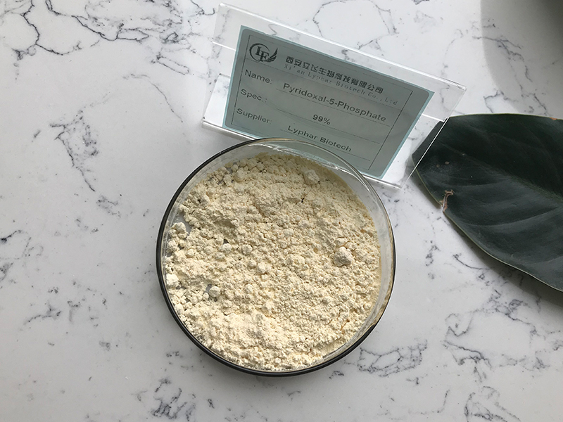 Applications of Pyridoxal-5-Phosphate-Xi'an Lyphar Biotech Co., Ltd Applications of Pyridoxal-5-Phosphate-Xi'an Lyphar Biotech Co., Ltd