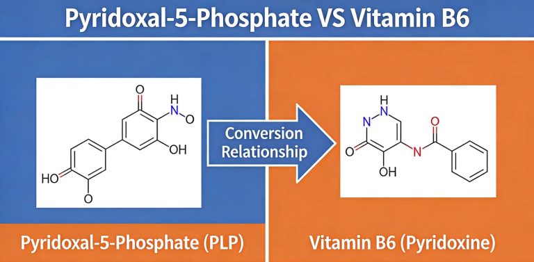 Pyridoxal-5-Phosphate VS Vitamin B6 6 2026081905260464