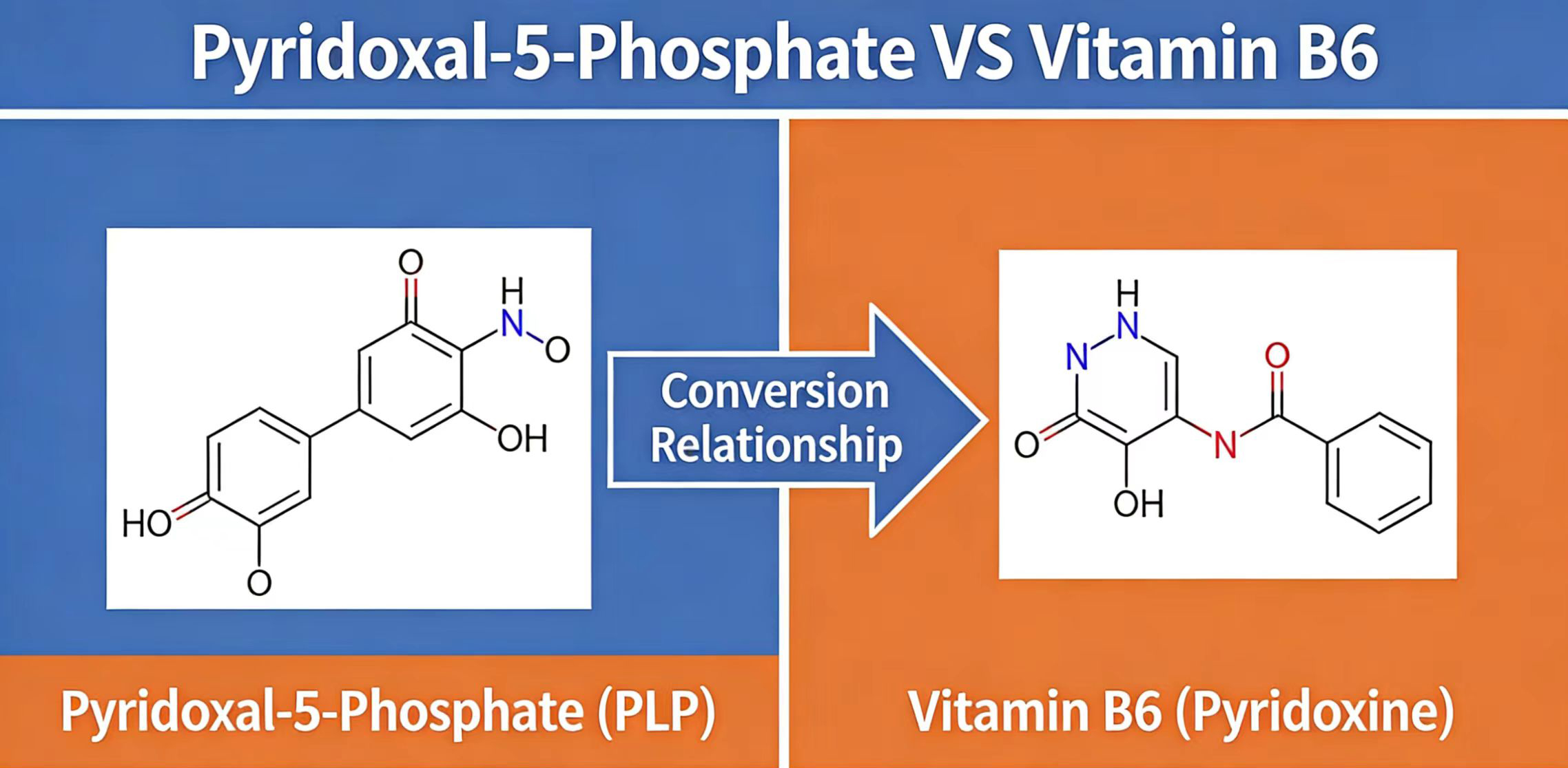 Pyridoxal-5-Phosphate VS Vitamin B6-Xi'an Lyphar Biotech Co., Ltd Pyridoxal-5-Phosphate VS Vitamin B6-Xi'an Lyphar Biotech Co., Ltd