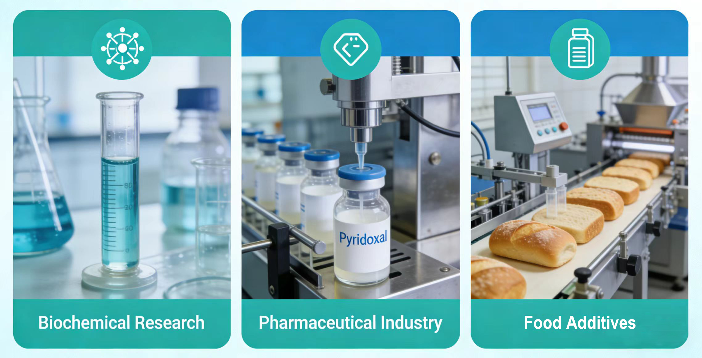 Origin, Properties and Introduction of Pyridoxal-5-Phosphate-Xi'an Lyphar Biotech Co., Ltd Origin, Properties and Introduction of Pyridoxal-5-Phosphate-Xi'an Lyphar Biotech Co., Ltd