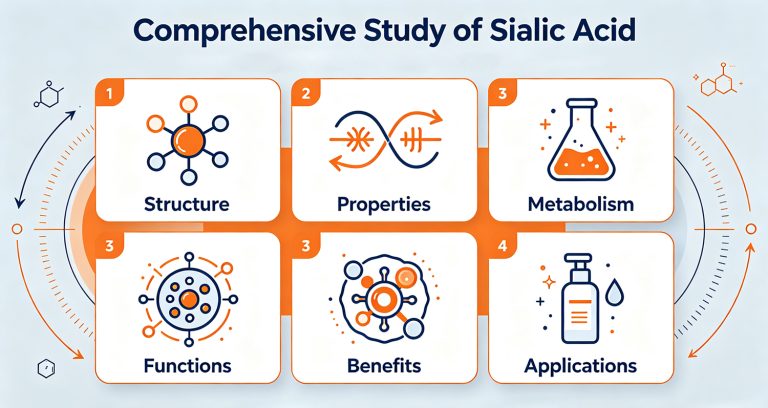 Comprehensive Study of Sialic Acid (N-Acetylneuraminic Acid) 4 2026101208550010