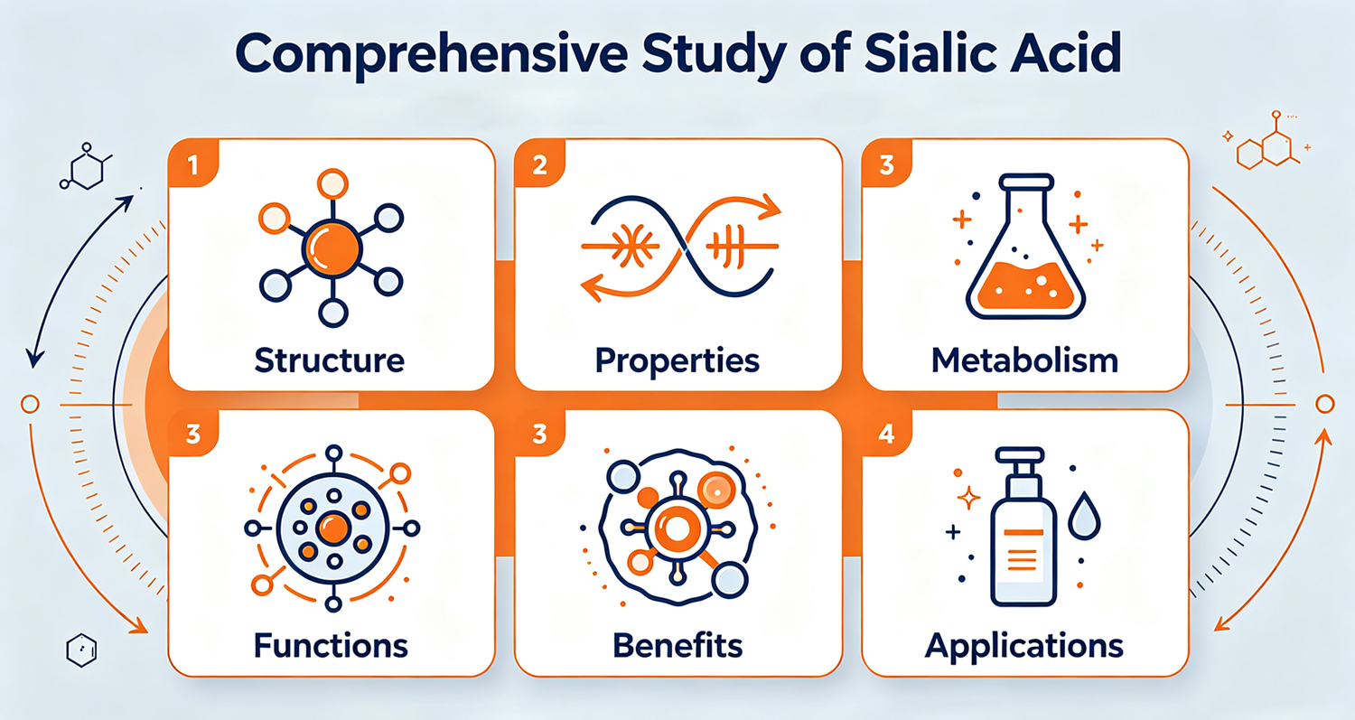 Comprehensive Study of Sialic Acid (N-Acetylneuraminic Acid)-Xi'an Lyphar Biotech Co., Ltd Comprehensive Study of Sialic Acid (N-Acetylneuraminic Acid)-Xi'an Lyphar Biotech Co., Ltd