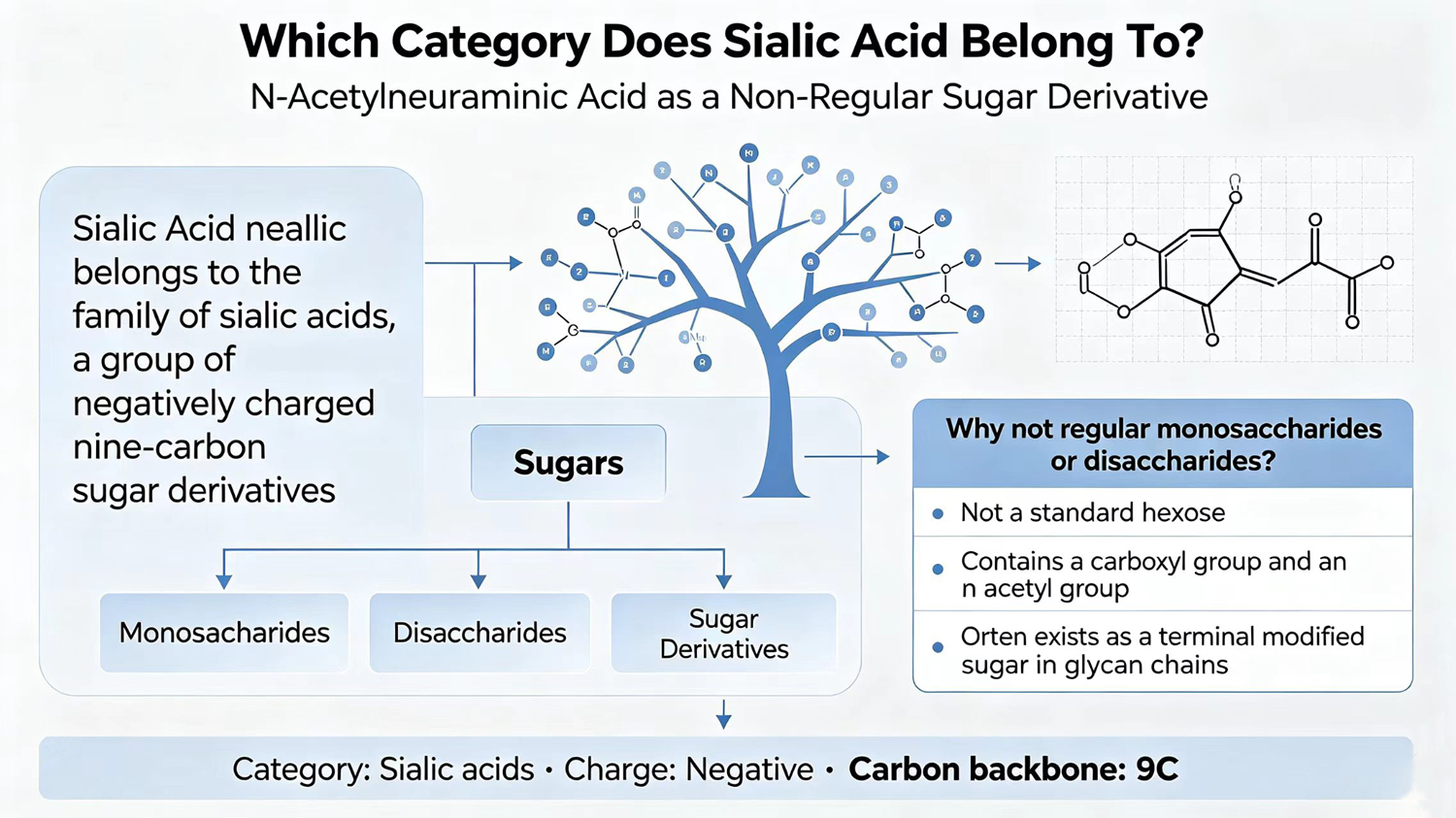 Which category of sugar derivatives does Sialic Acid (N-Acetylneuraminic Acid) belong to? Why doesn’t it belong to the category of regular monosaccharides or disaccharides?-Xi'an Lyphar Biotech Co., Ltd Which category of sugar derivatives does Sialic Acid (N-Acetylneuraminic Acid) belong to? Why doesn’t it belong to the category of regular monosaccharides or disaccharides?-Xi'an Lyphar Biotech Co., Ltd