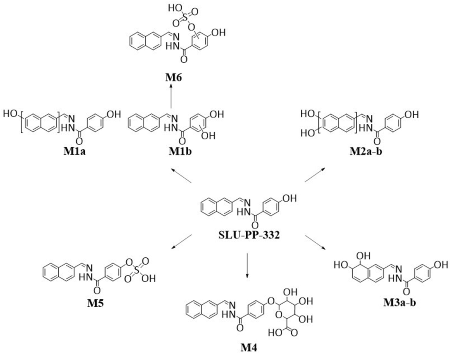 Chemical Structure and Physical Properties of SLU-PP-332-Xi'an Lyphar Biotech Co., Ltd